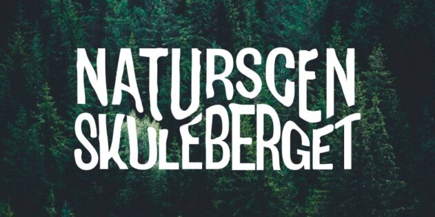 Naturscen Skuleberget